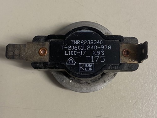 100 grad thermostat - grad,